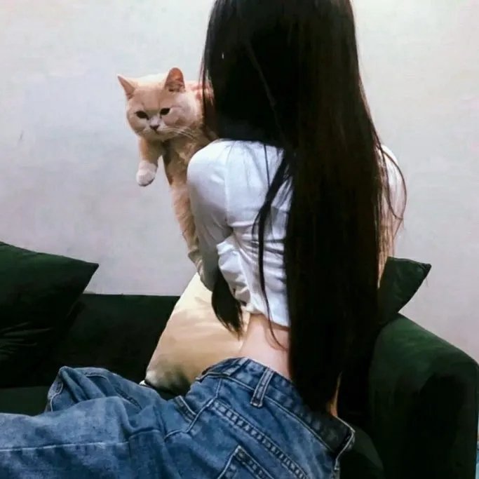 失落的边界