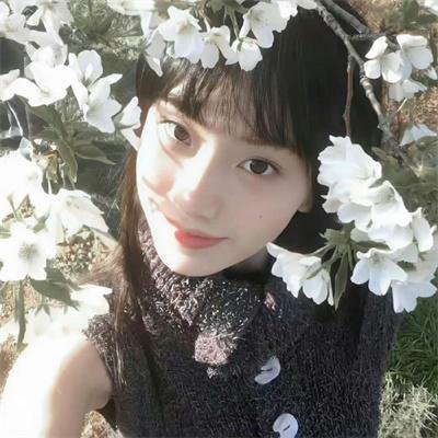 白色酢浆草